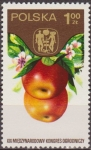 Sellos de Europa - Polonia -  Polonia 1974 Scott 2051 Sello ** Congreso Horticola Varsovia Frutas Manzanas