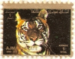 Sellos de Asia - Emiratos �rabes Unidos -  AJMAN - Tigre de Bengala