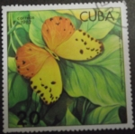 Stamps : Asia : Cuba :  Mariposa