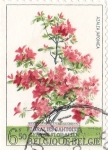 Stamps Belgium -  florales