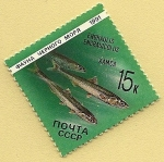 Stamps Russia -  Boquerón - anchoa europea
