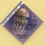 Stamps Russia -  Medusa - acalefo azul o aguamala