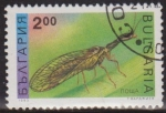 Stamps : Europe : Bulgaria :  Bulgaria 1992 Scott 3711 Sello º Insectos Mayfly Ephemeroptera Bulgarie Mi4094 Yv3546 