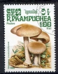Stamps : Asia : Cambodia :  Camboya 1985 Scott 572 Sello * Setas Mushrooms Hebeloma Crustuliniforme 1,00r Matasello de favor