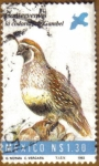 Sellos de America - Mxico -  Codorniz de Gambel