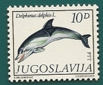 Sellos de Europa - Yugoslavia -  Delfín común