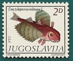 Sellos de Europa - Yugoslavia -  pez golondrina