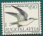 Sellos de Europa - Yugoslavia -  aves - Charrancito