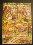 Stamps Belgium -  Semana del bosque