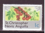 Stamps America - Saint Kitts and Nevis -  serie- Turismo