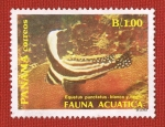 Stamps : America : Panama :  FAUNA ACUATICA