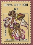 Stamps Russia -  Orquídea - de la dama