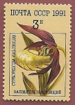 Stamps Russia -  Orquidea - zapatito de dama