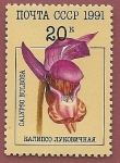 Sellos de Europa - Rusia -  orquídea - zapatilla de Venus