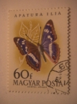 Stamps : Europe : Hungary :  apatura ilia