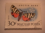 Stamps : Europe : Hungary :  arctia hebe