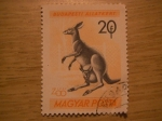 Stamps Hungary -  budapesti allatkert
