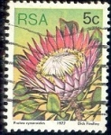Stamps : Africa : South_Africa :  Protea cyronoides