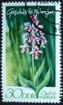 Stamps : Europe : Germany :  Plantas protegidas / Orchis militaris