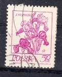 Stamps Poland -  FLOR
