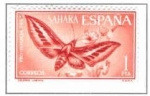 Stamps Spain -  SAHARA EDIFIL 227 (12 SELLOS )INTERCAMBIO