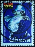 Stamps : Africa : Ghana :  Rufous-crowned Roller (Coracias naevius)