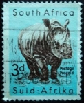 Stamps : Africa : South_Africa :  Rhino