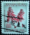 Stamps : Africa : South_Africa :  Kafferboom Flower