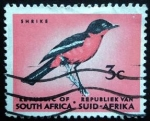 Sellos de Africa - Sud�frica -  Cutter bar red-throated