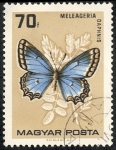 Stamps Hungary -  Fauna