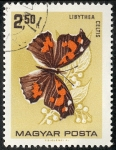 Stamps Hungary -  Fauna