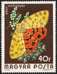 Stamps Hungary -  Fauna