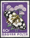 Stamps : Europe : Hungary :  Fauna