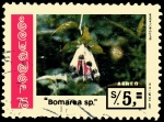 Stamps Ecuador -  