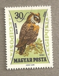 Stamps : Europe : Hungary :  Buho