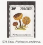 Stamps Republic of the Congo -  Setas