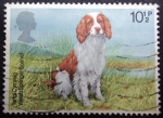 Stamps United Kingdom -  Welsh Springer  Spaniel