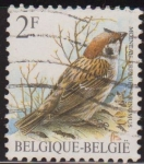 Stamps Belgium -  Belgica 1985 Scott 1218 Sello º Aves Oiseaux Moineau Friquet Ringmus 2fr Belgique Belgium 