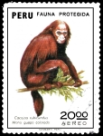 Stamps : America : Peru :  PERU FAUNA PROTEGIDA - CACAJAO RUBICUNDUS MONO GUAPO COLORADO