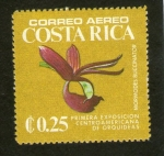 Stamps Costa Rica -  PRIMERA EXPOSICION CENTROAMERICANA DE ORQUIDEAS