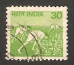Stamps : Asia : India :  718 - cultivo de arroz