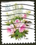 Stamps United States -  FLOWERS