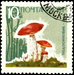 Stamps Russia -  