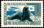 Stamps : America : Uruguay :  FAUNA URUGUAYA - LOBO FINO
