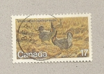 Sellos de America - Canad� -  Pavos