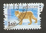 Sellos de Europa - Rusia -  7055 - fauna un lince