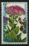 Stamps : Africa : Equatorial_Guinea :  Flores - Sedum spectabile brillant.