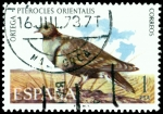 Stamps : Europe : Spain :  AVES - PTEROCLES ORIENTALIS (ORTEGA)