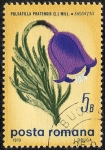 Stamps Romania -  Flora