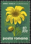 Stamps Romania -  Flora